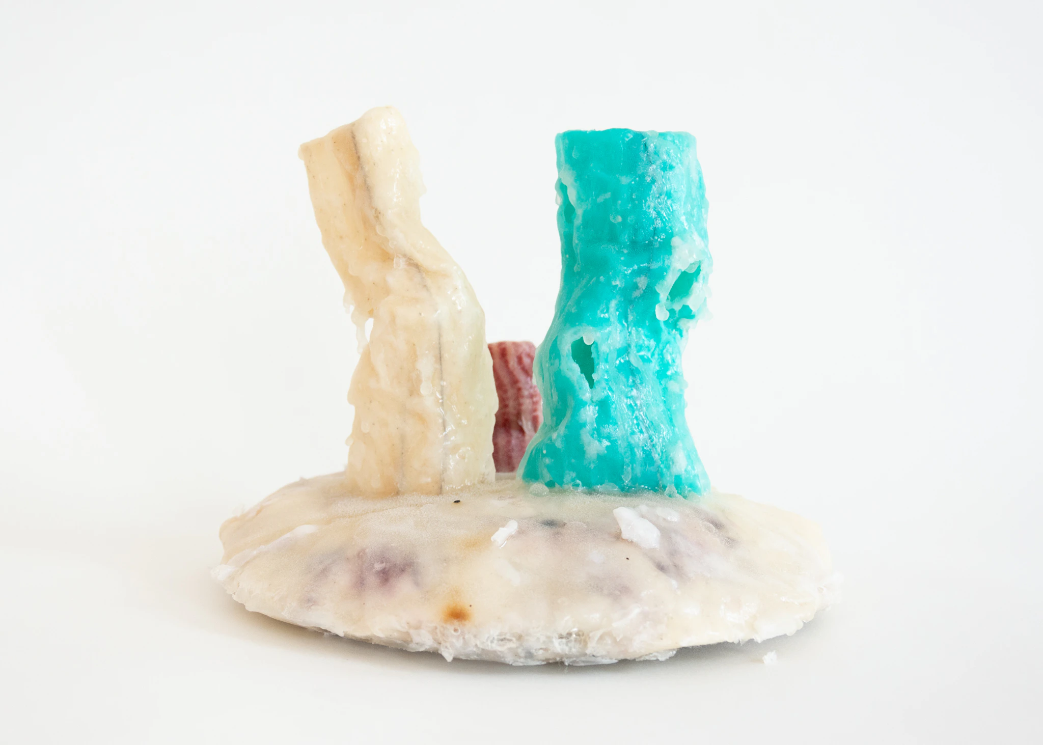 Habitat for a Desert Dweller III by Nicoline Franziska...