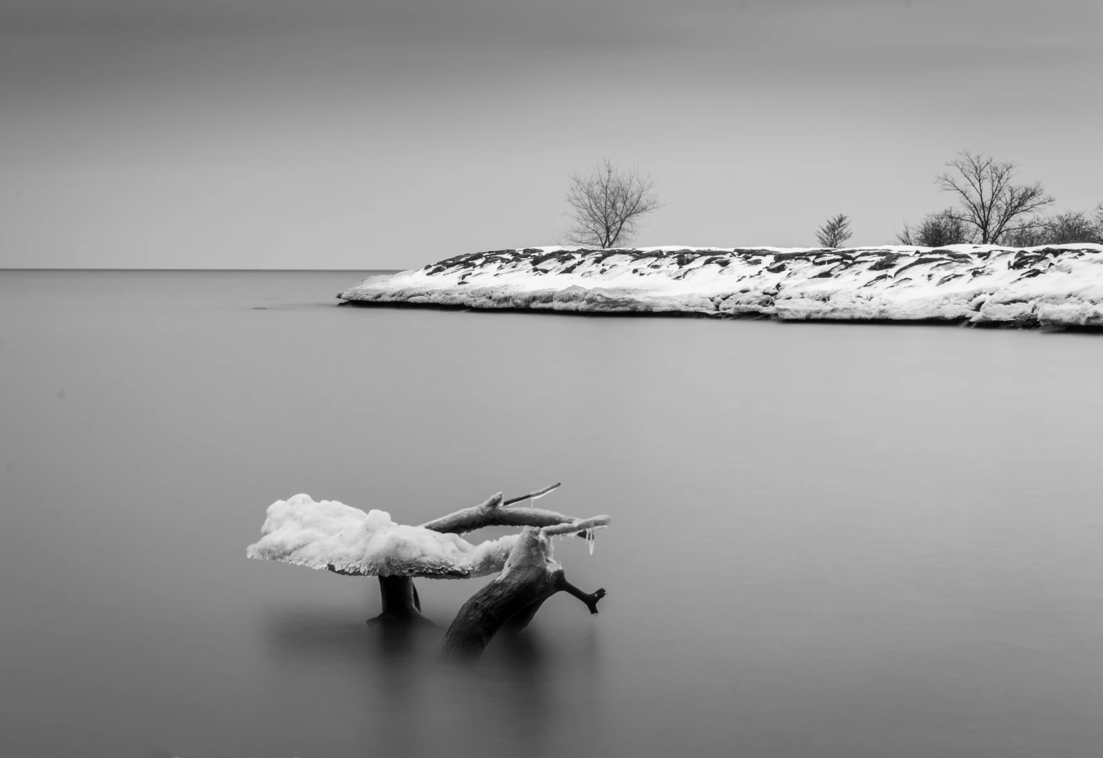 Ice Covered Driftwood, Lake Ontario