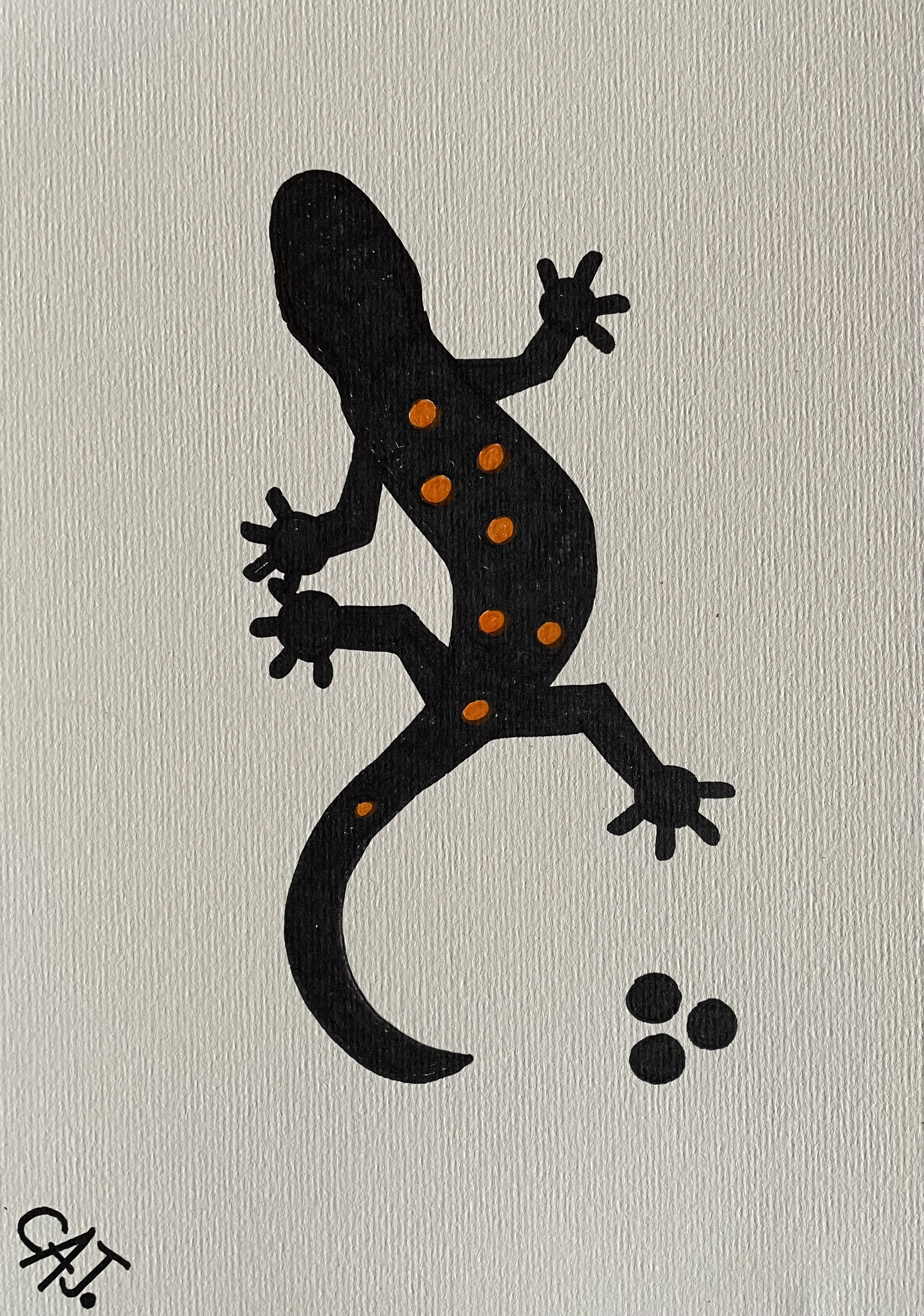 The Gecko!