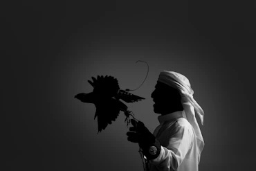 Falconer