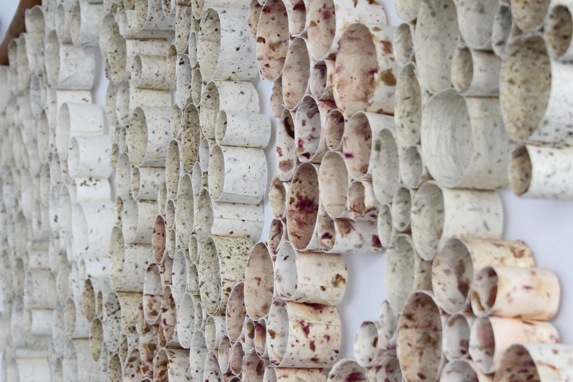 Pieces of Drought by Iris Rountree...