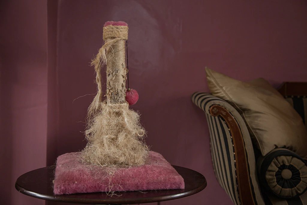 House Keeping by Heather McDonough...