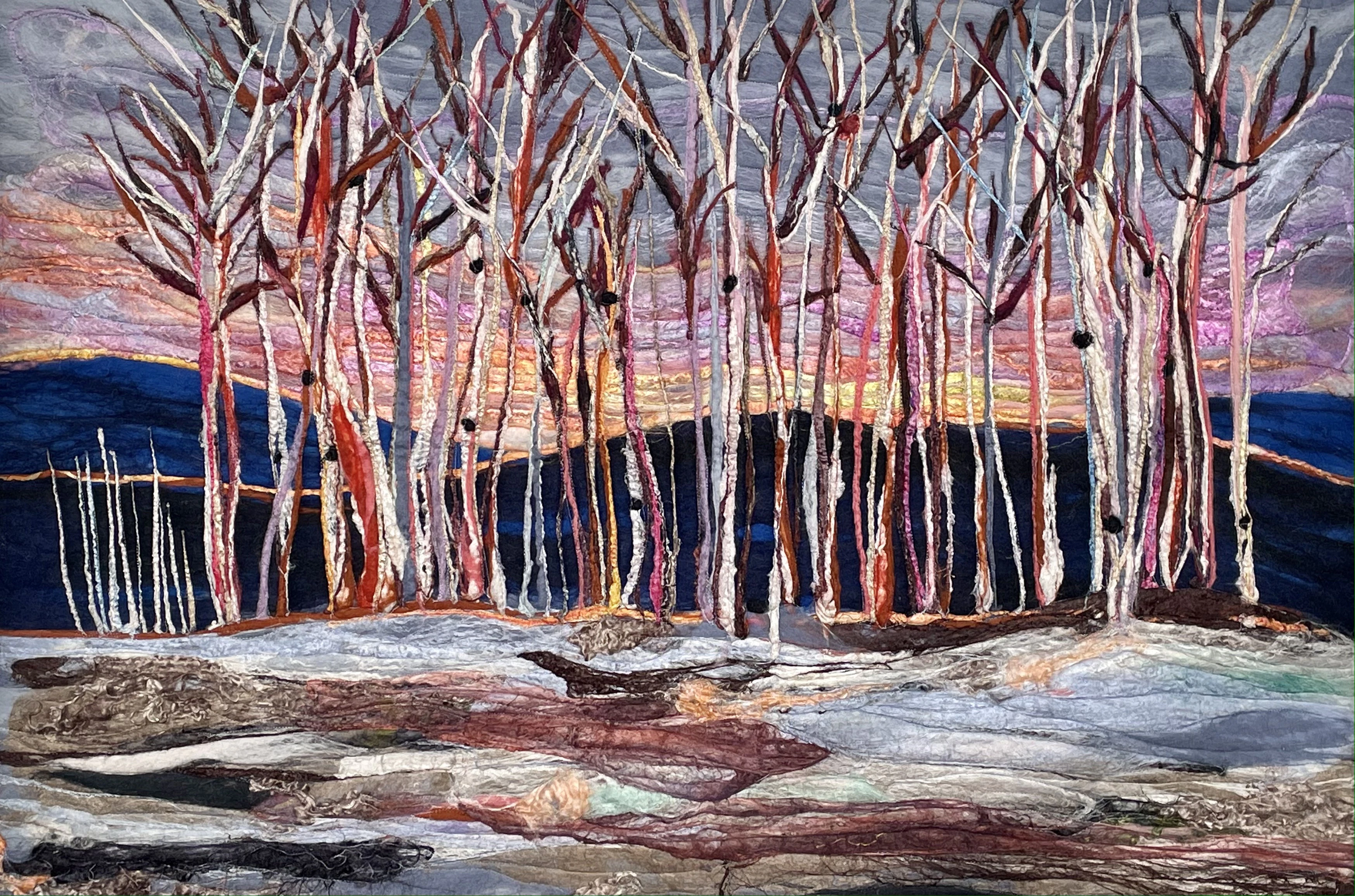 Sunset Birch