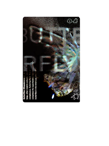 Butterfly effect