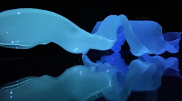 Immersive Sculpture II