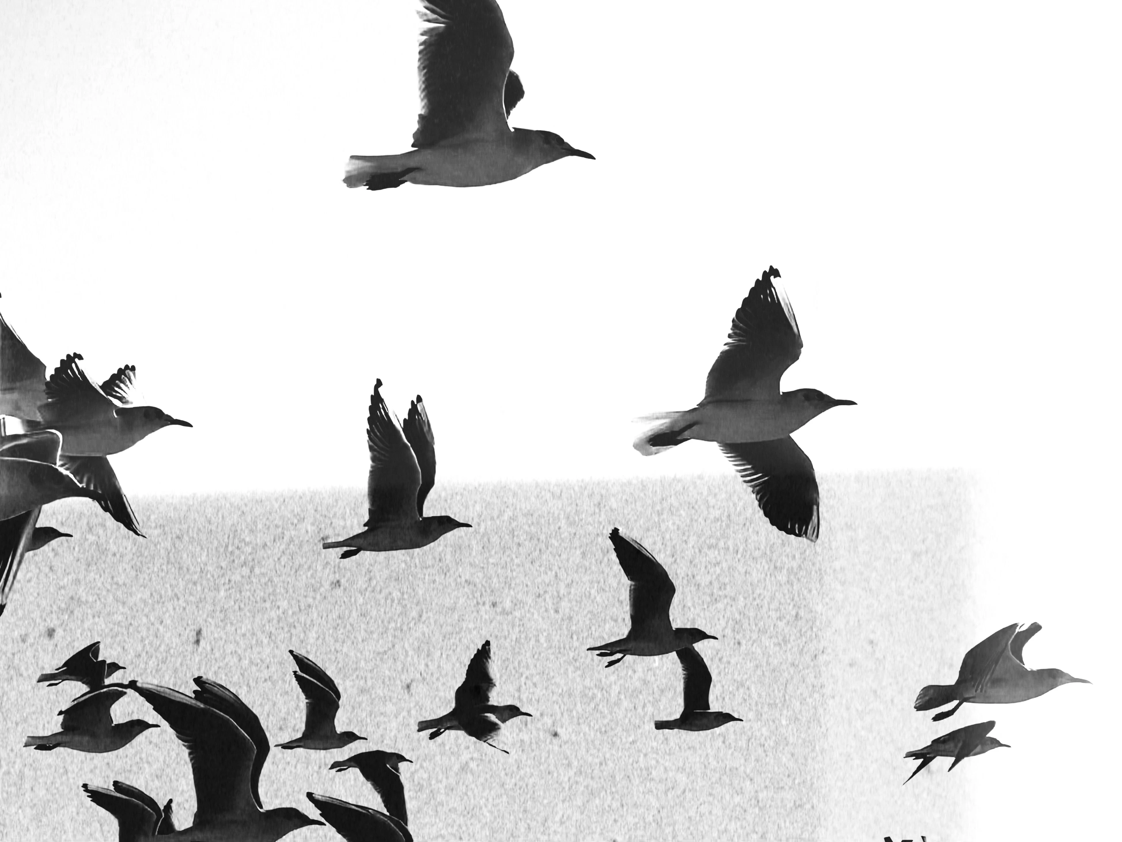 Quoting Arseny Tarkovsky  by Hayat...