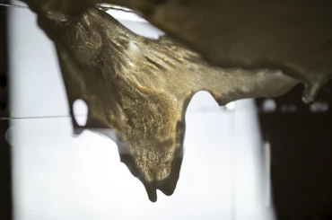 Shaping Water