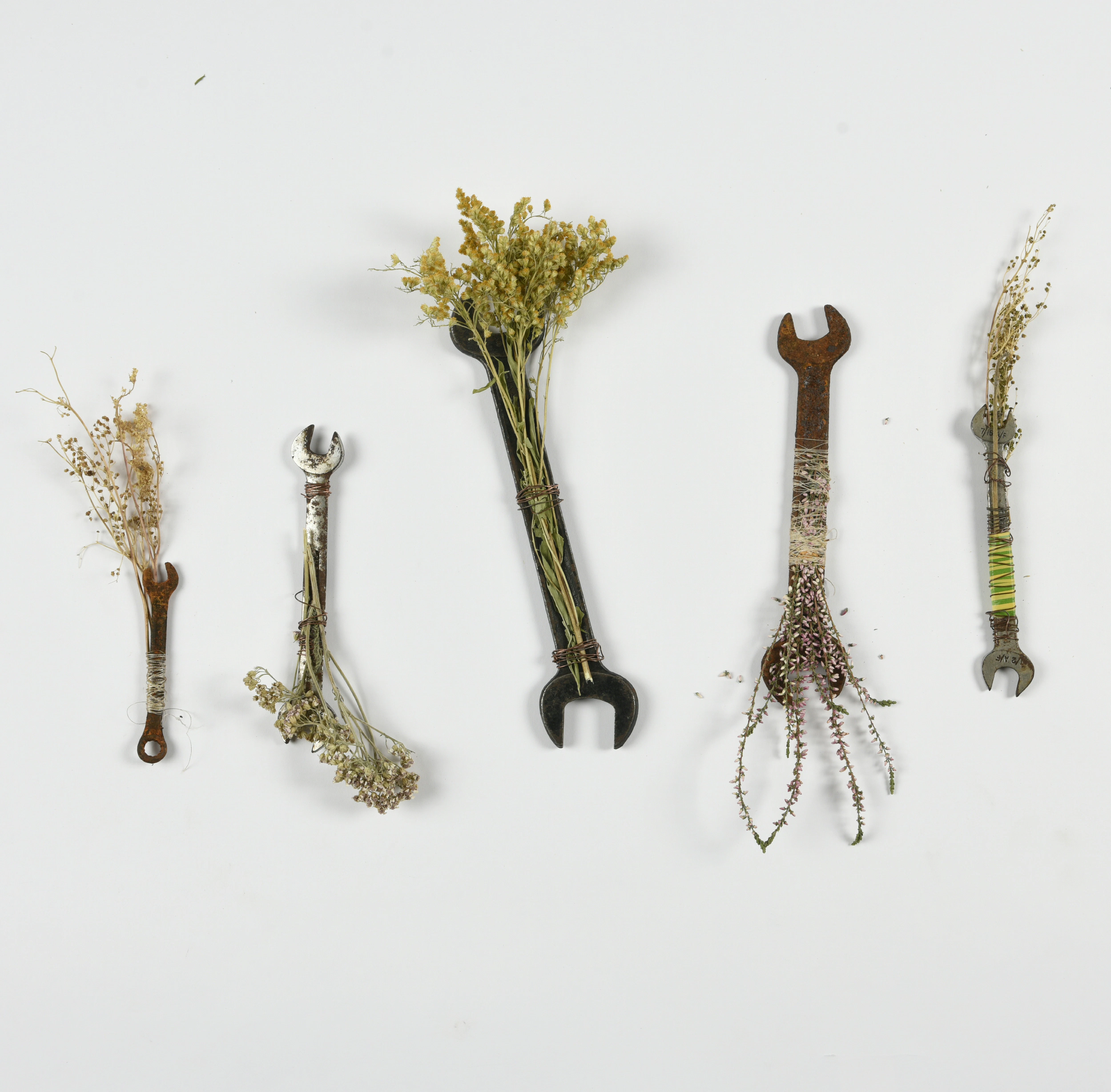 A collection of herbal spanners