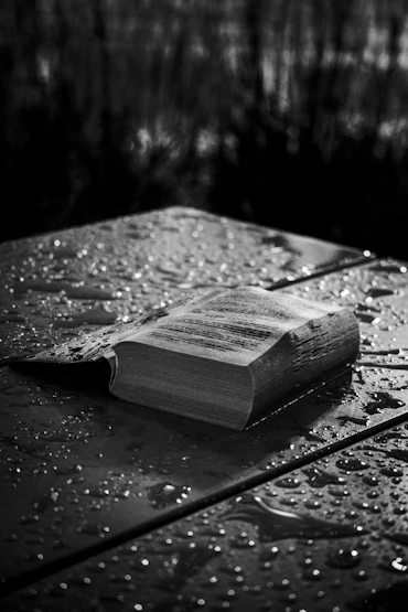 Good book in the rain