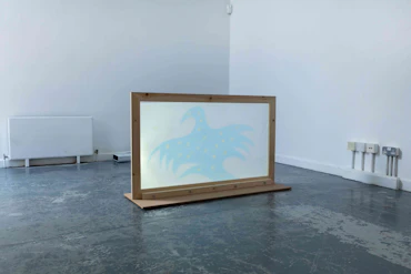Nacreous Dream (Installation view and video stills)