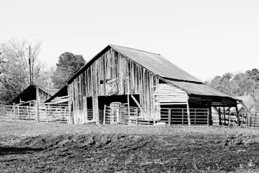 Ranch-Hand