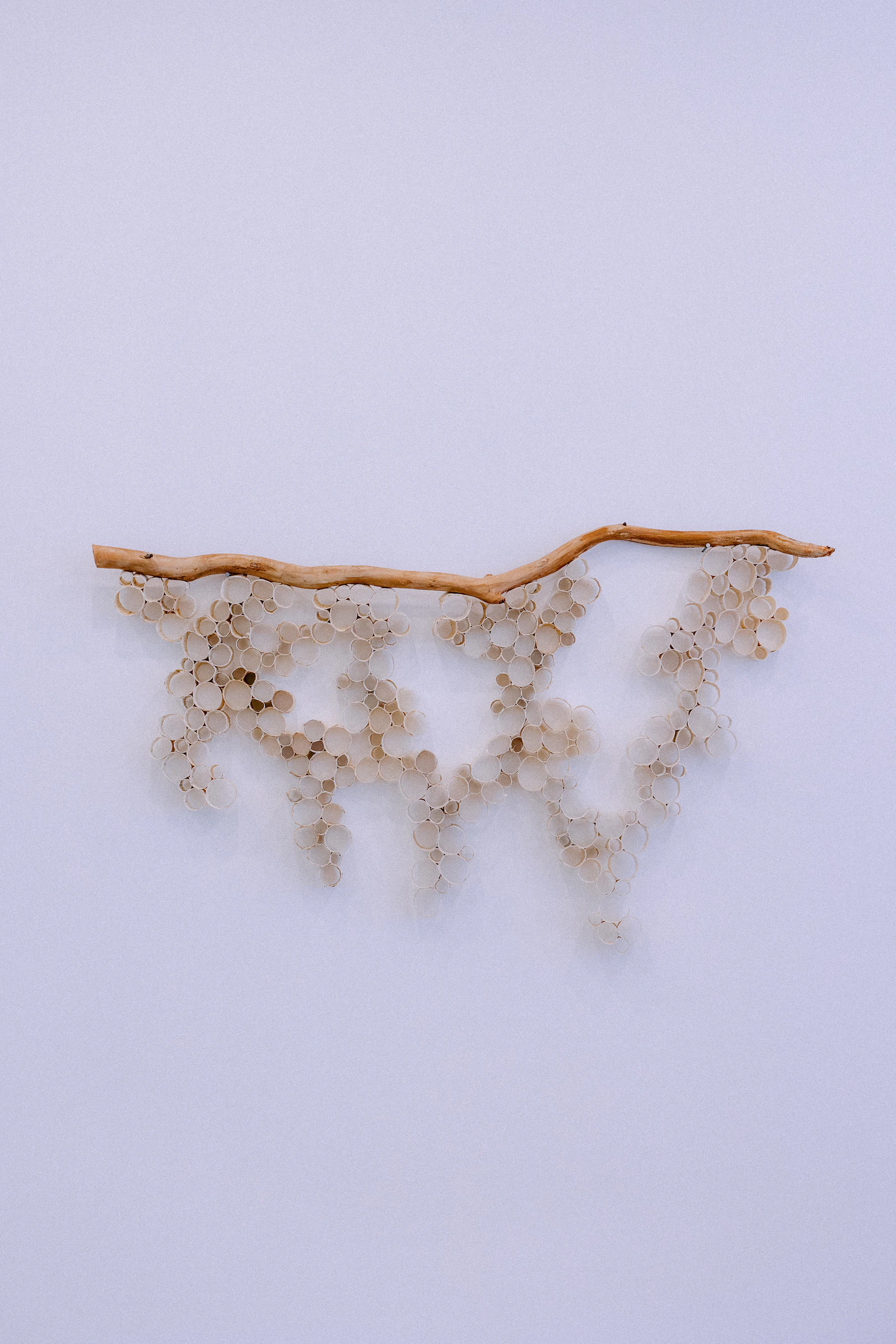 Drought 2 by Iris Rountree...