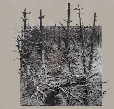 Large snowscene 2013