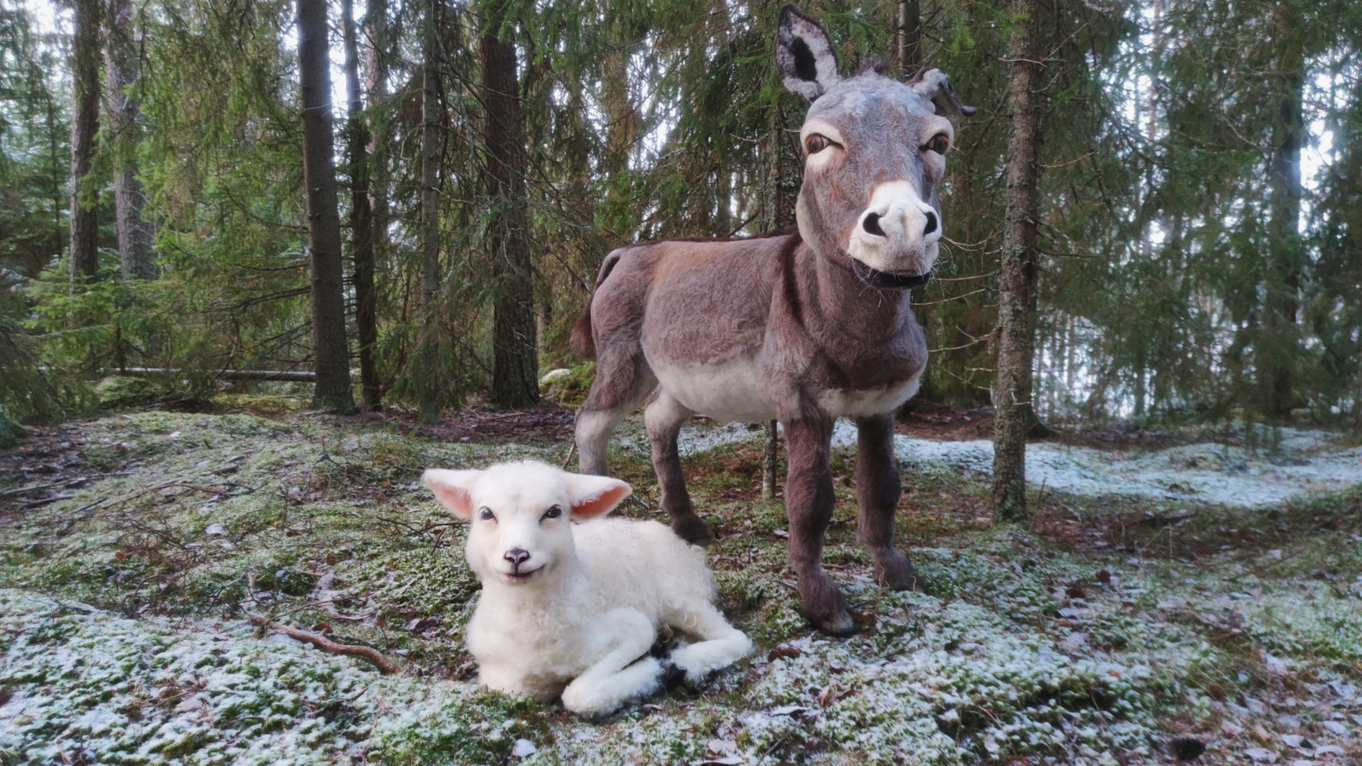 Christmas nativity scene 