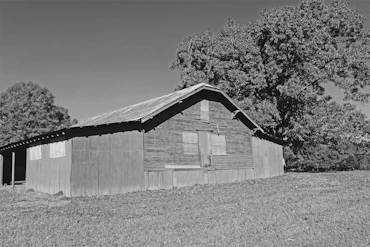 Rustic