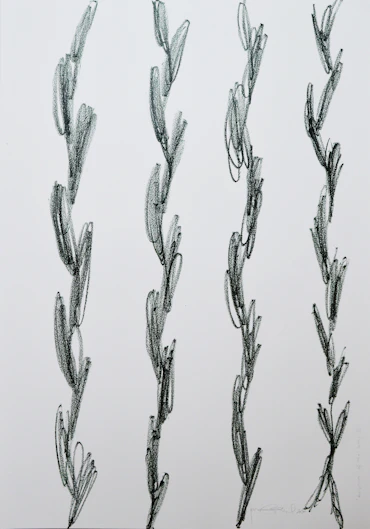 'scripture of the body (2)'