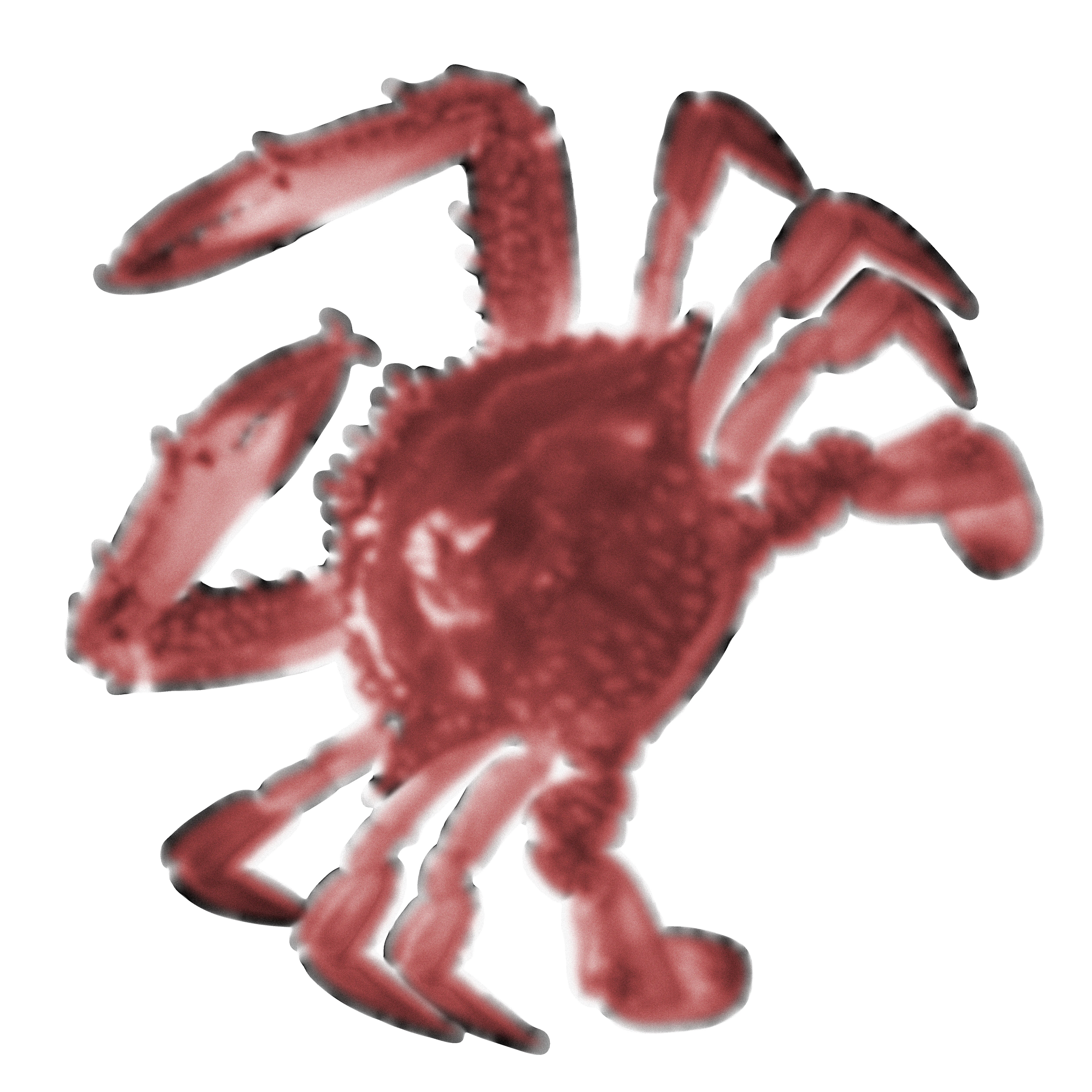 Crab