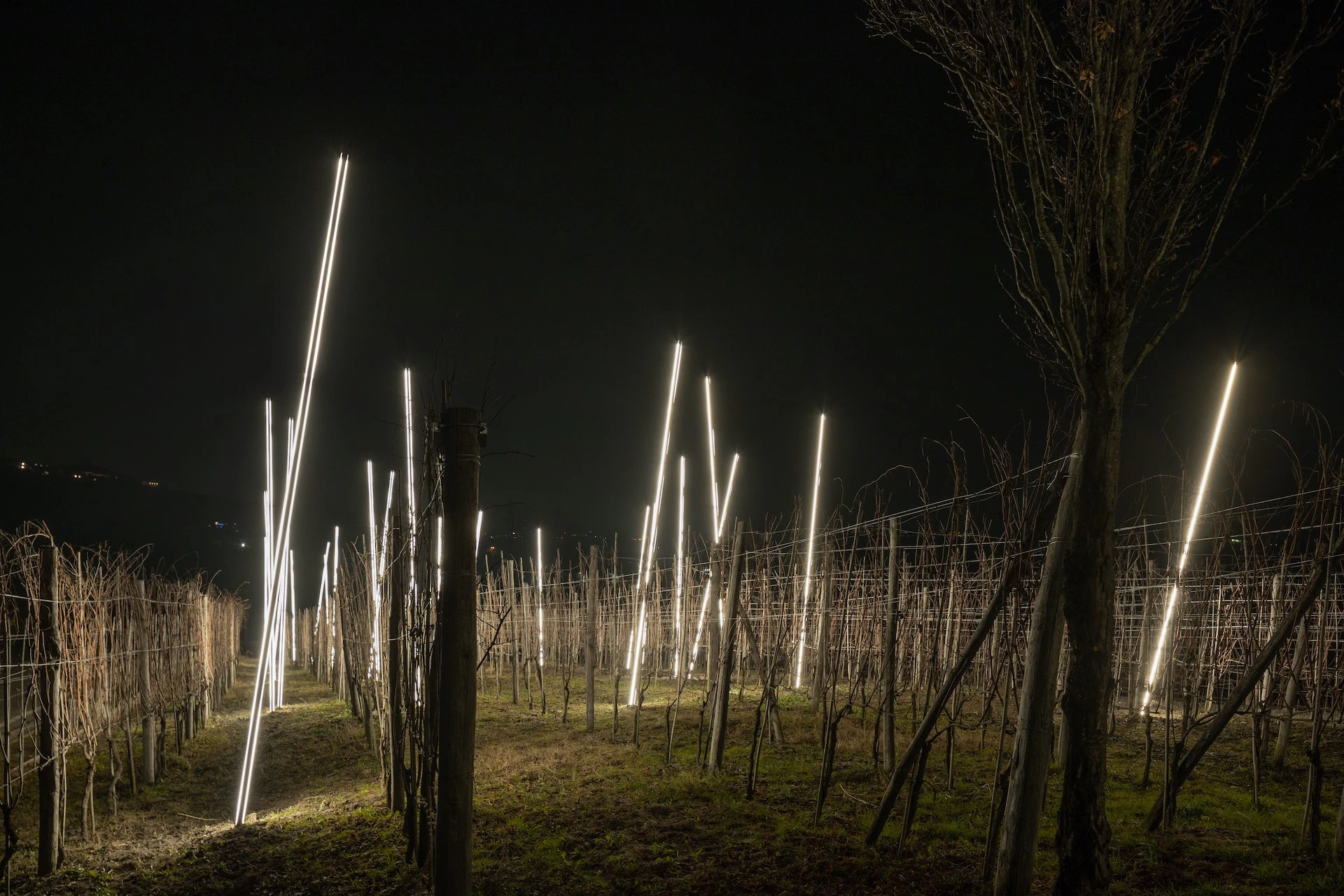 Cannubi On Fire by Emilio Ferro...