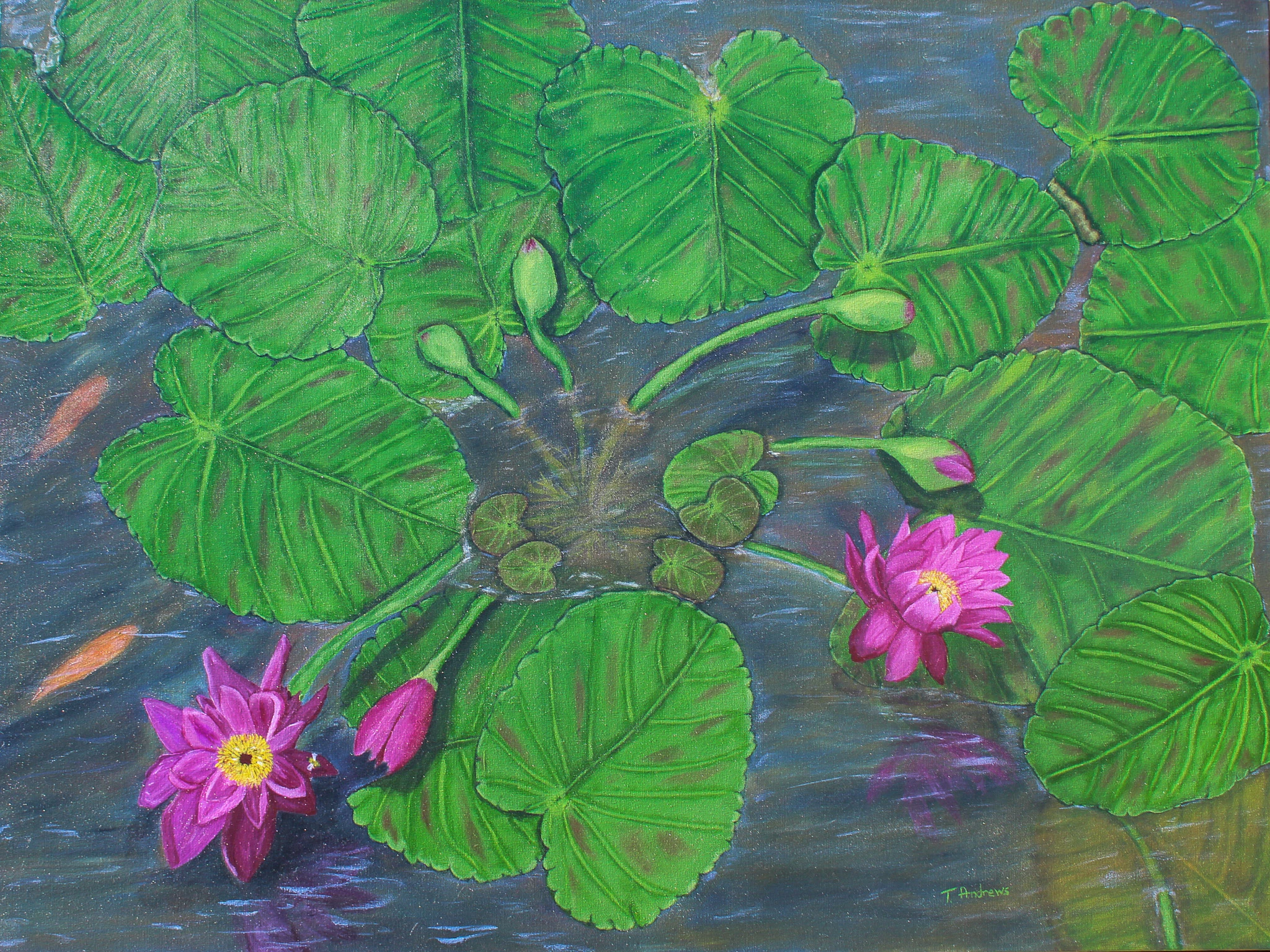 Waterlilies