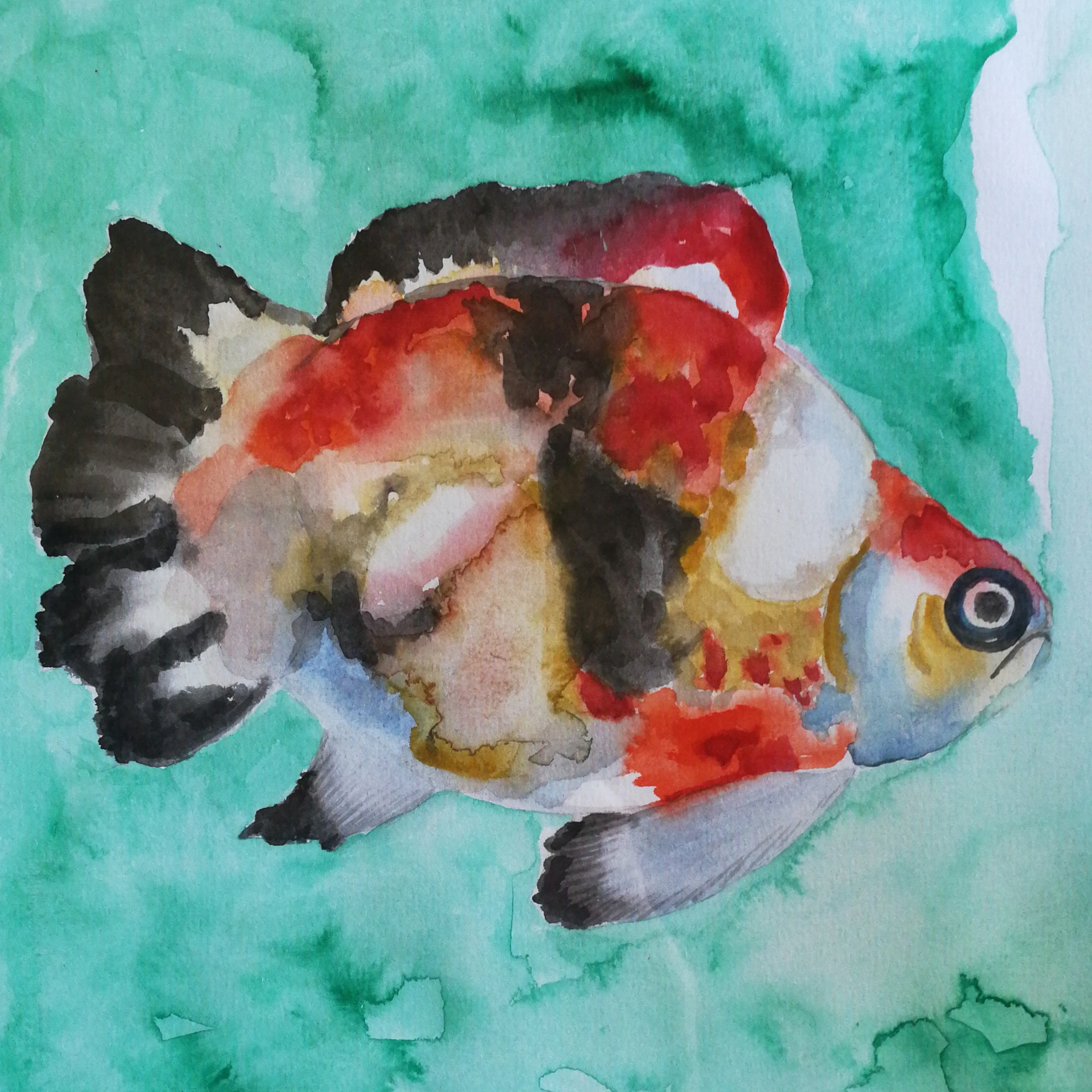 fish