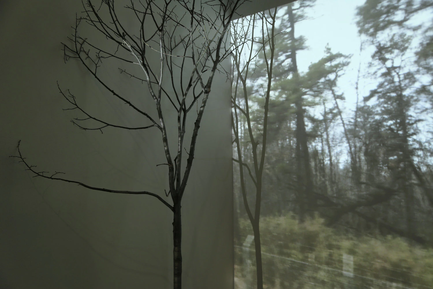 Blind Spot by Juyi Mao...