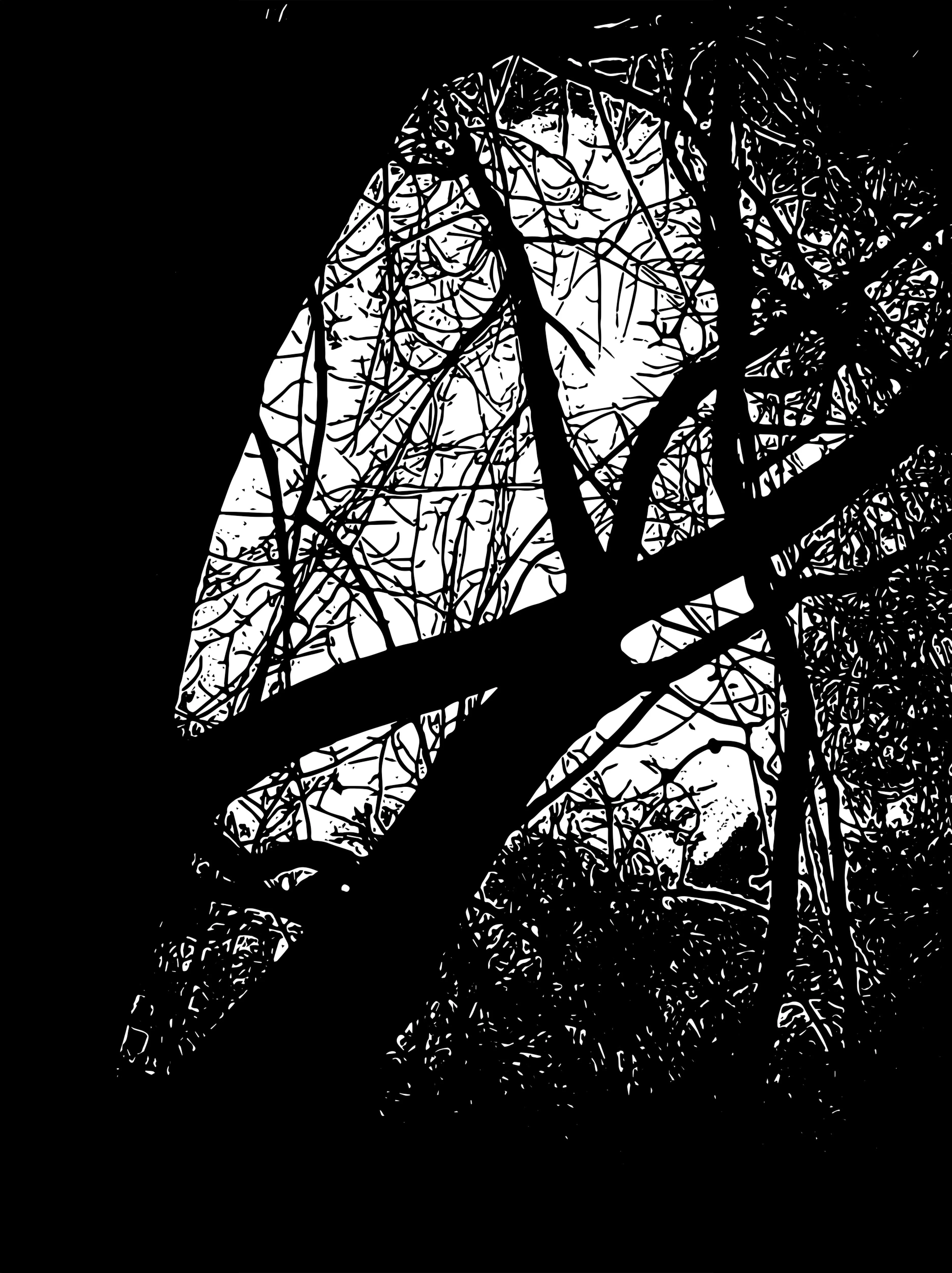 Forest Moonlit Visage