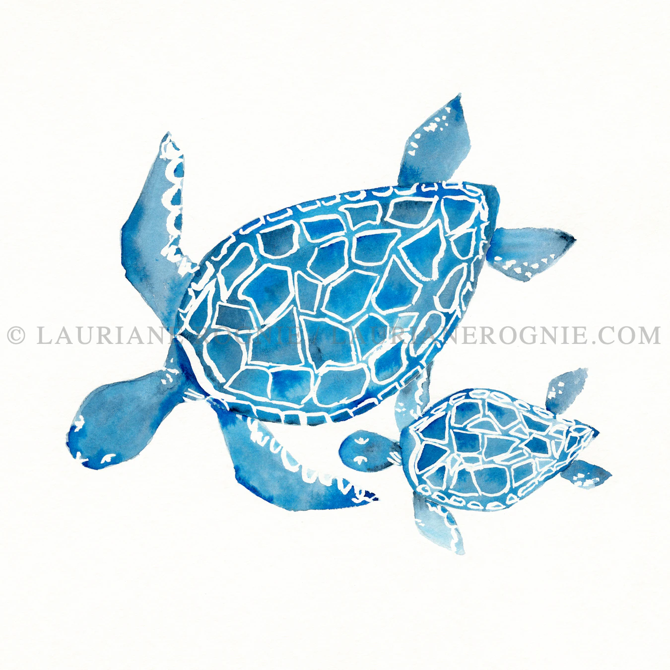 Sea Turtles