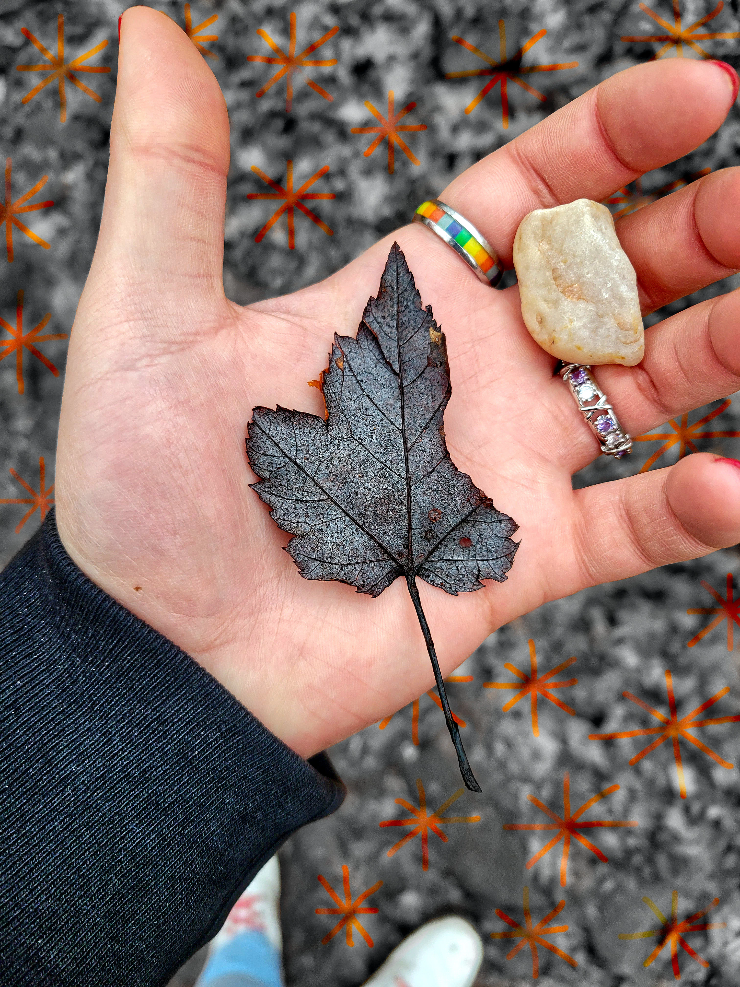 Vibrant leaf