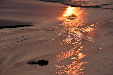 Sun Light Crashes, Leaf of light 