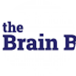 The Brain Bridge Lab