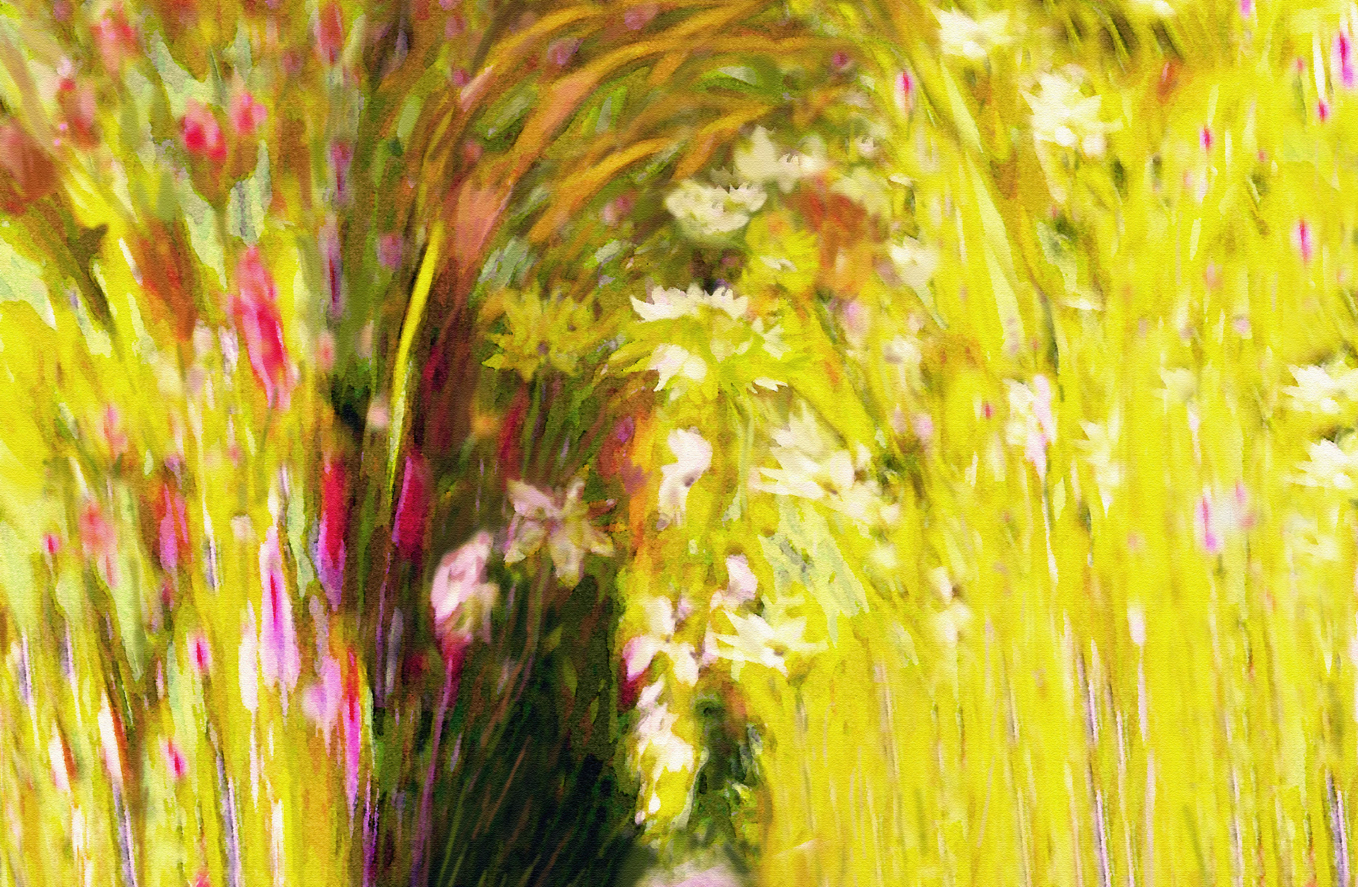 Floral corridors'' THRIVE ",The Colors that you shine 