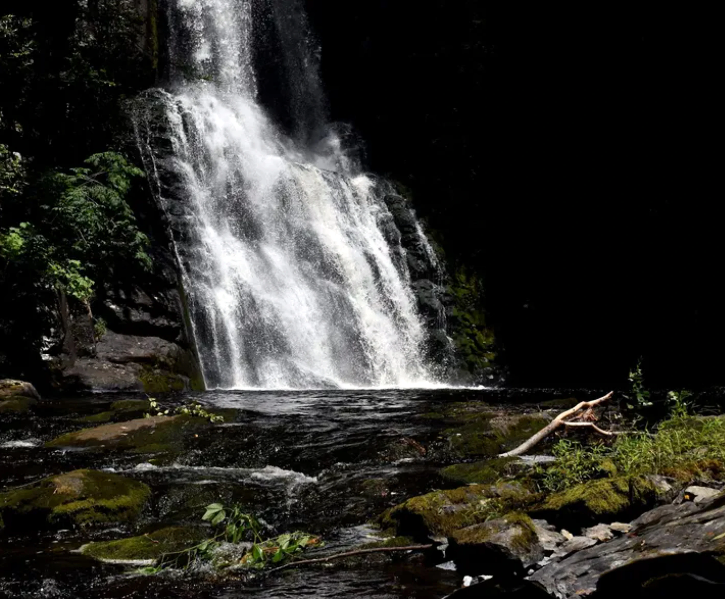 Rapture of the Falls 