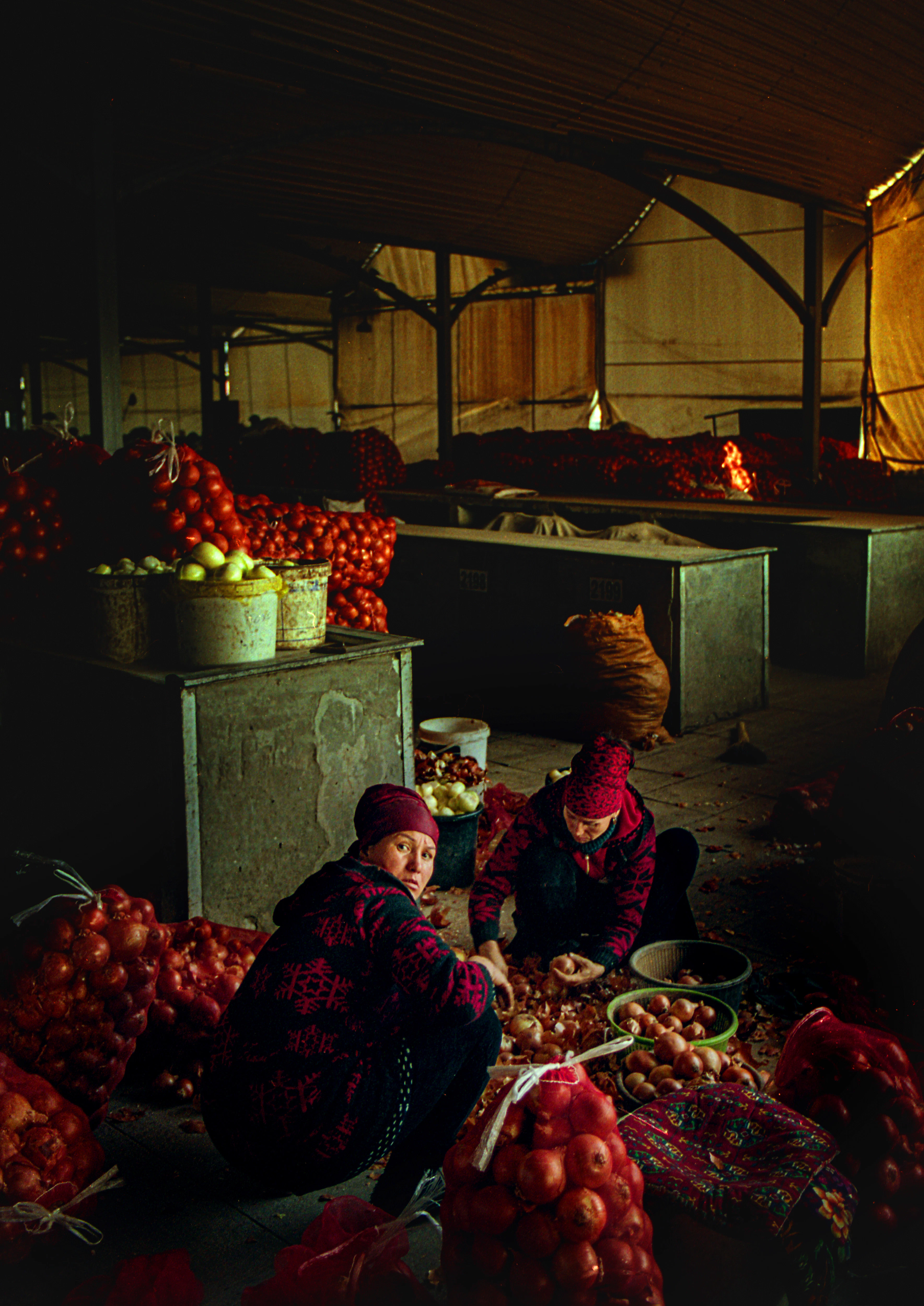 Onion Peelers