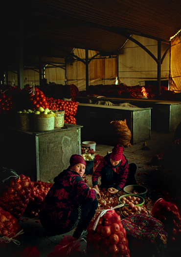 Onion Peelers