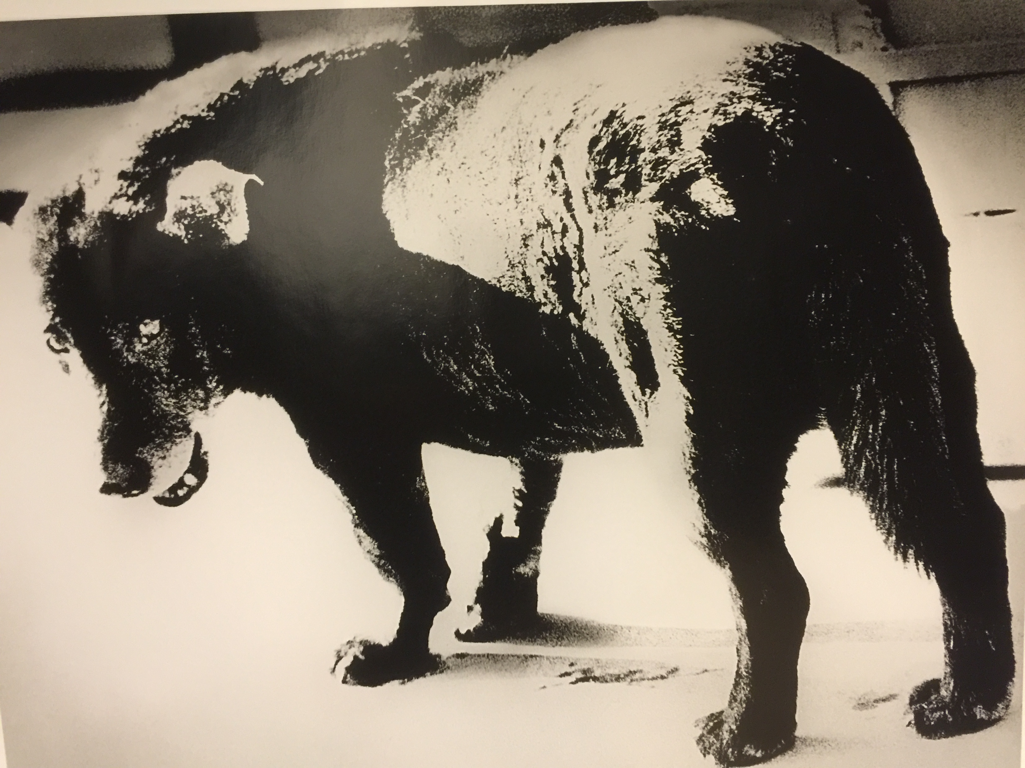 PLATFORM　MORIYAMADAIDO PLATFORM - Daido MORIYAMA | AKIO NAGASAWA