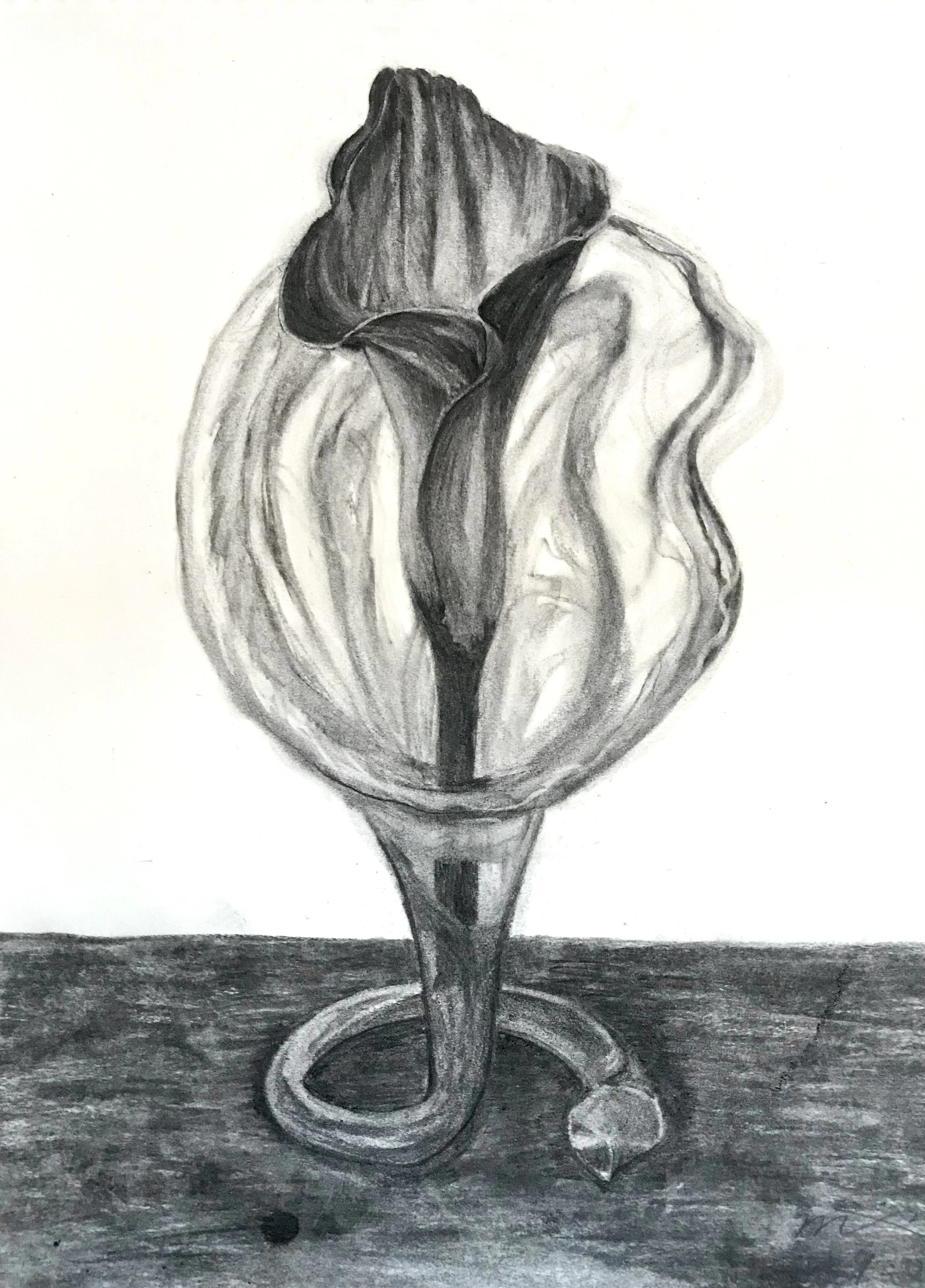 The flower for the vase (charcoal practice) 