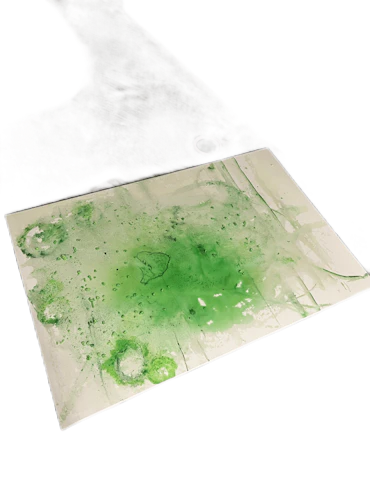the mold