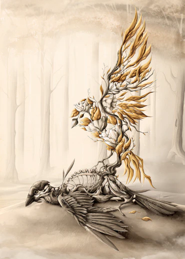 Rebirth