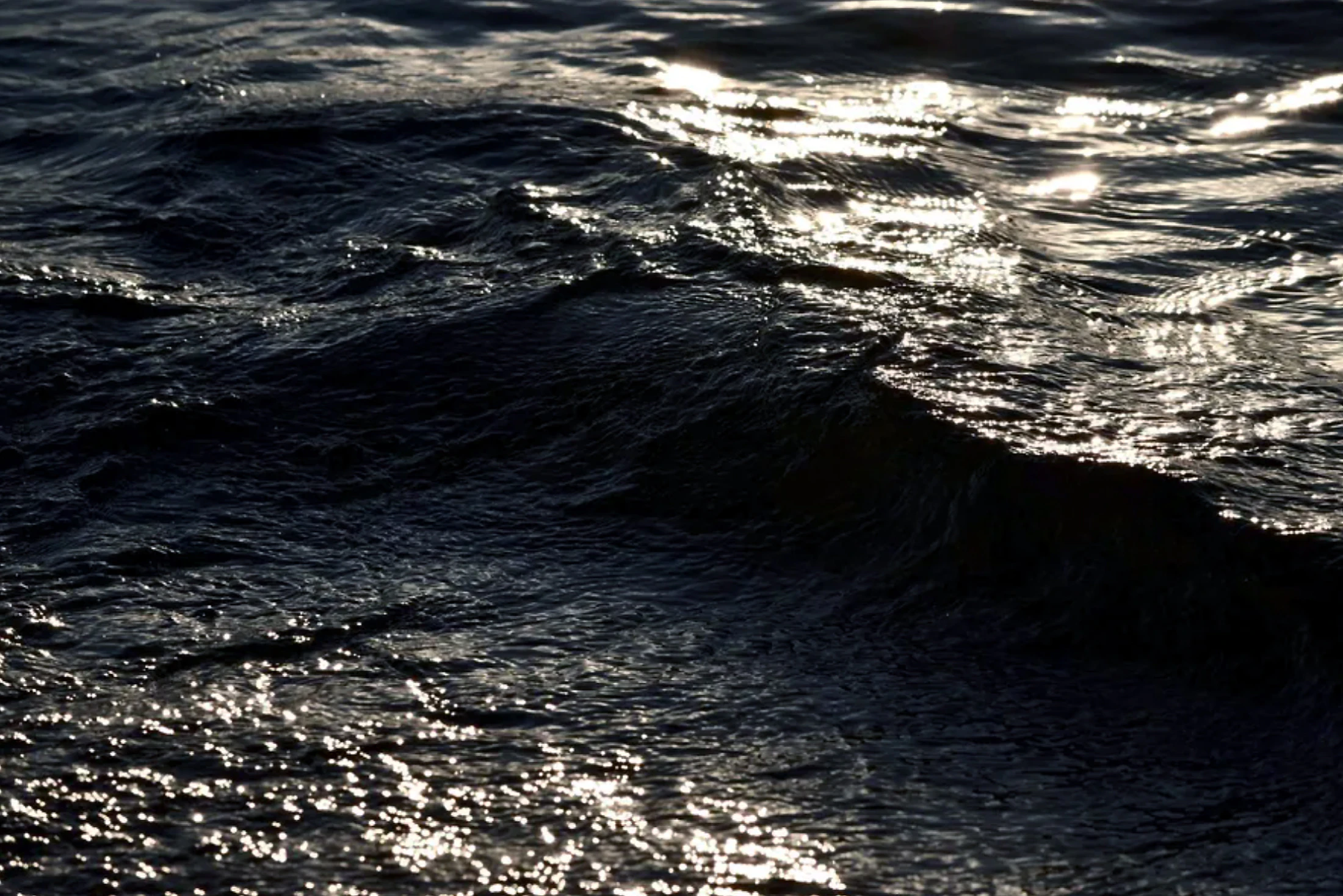 Waters Embrace, In Waves- The Cycle of Life- Waves in Motion