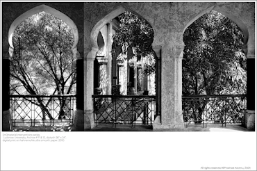 [im] material interventions series Lucknow University, Archive # 11 & 12, diptych