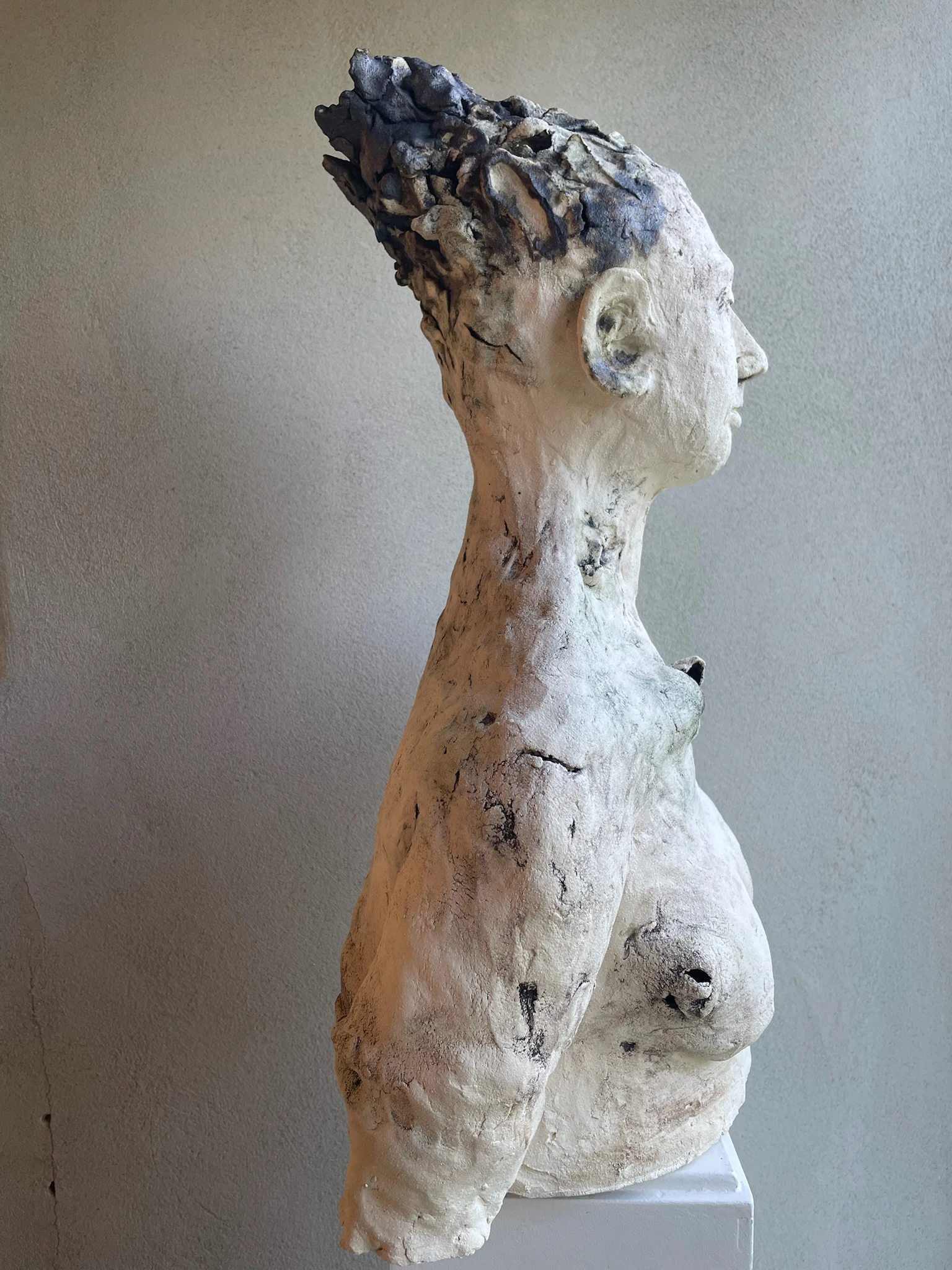11  Ancient Mother tree by leonie stellema...