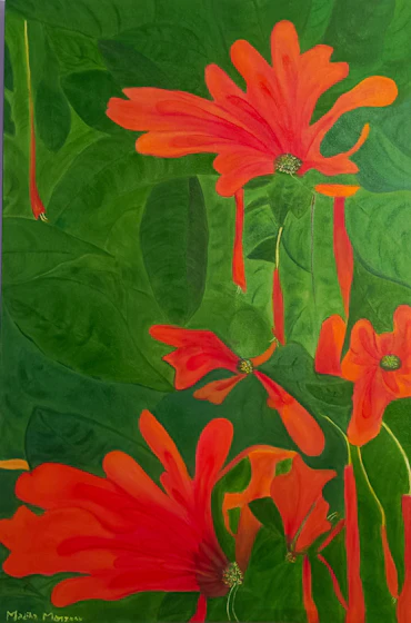 Honeysuckle 
