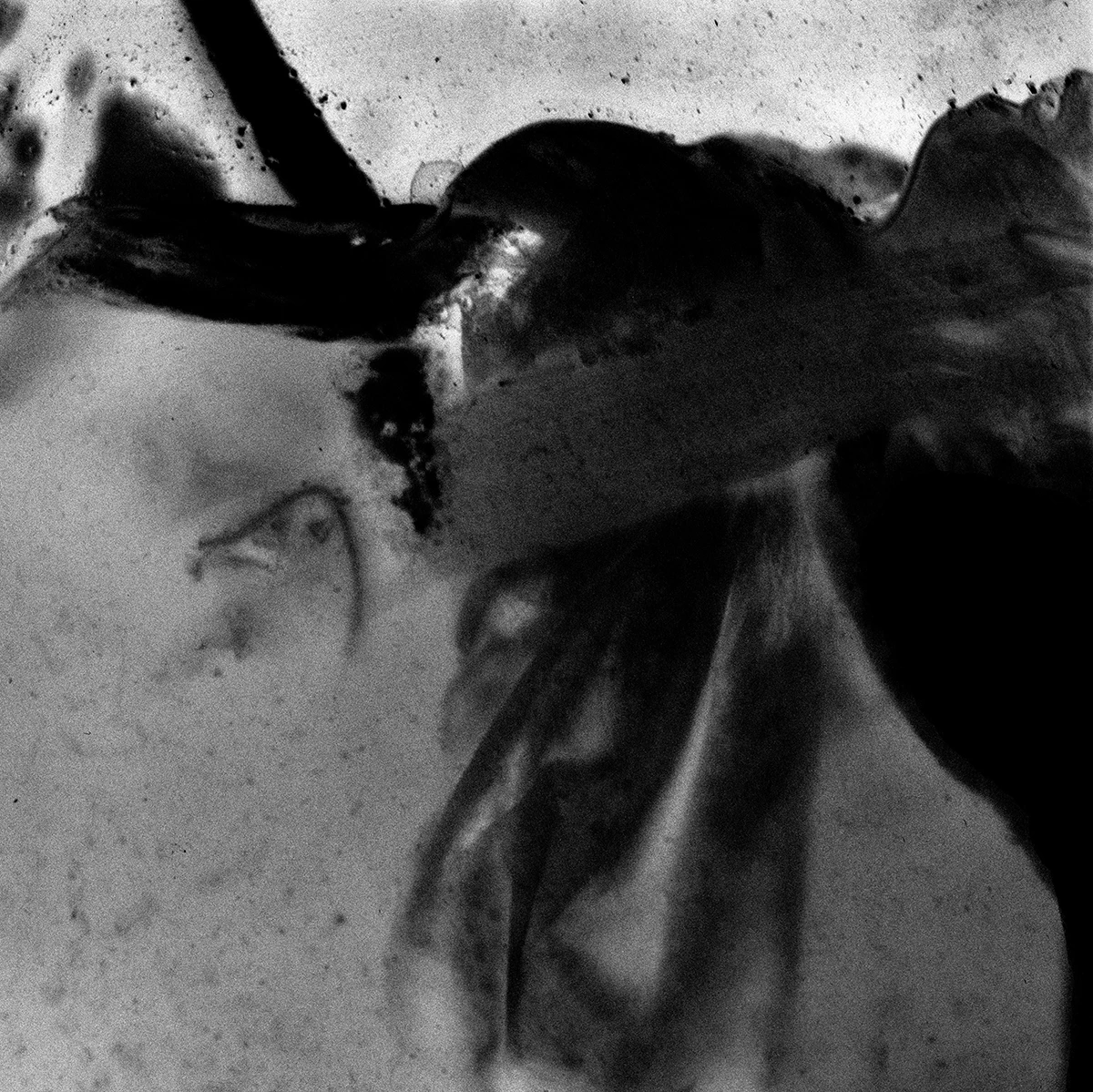 In-Between Places by Odeth Reinoso...
