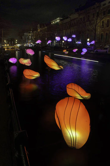 In Bloom @ Amsterdam Light Festival