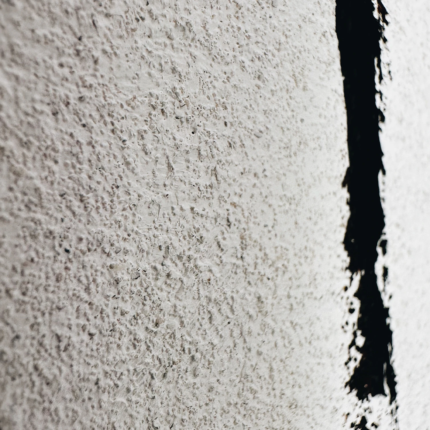 What the Field Remembers (Diptych) by Elena Gorn...