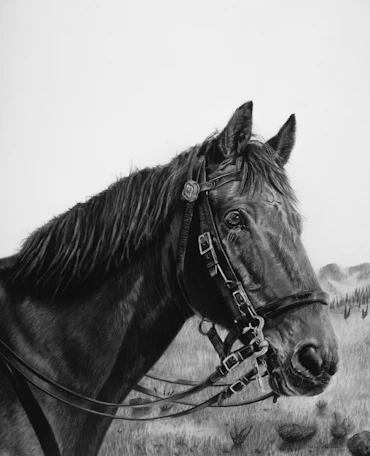 New Day  New Victories, CHARCOAL DRAWING, by Renato Žugec, Siza - 60x50 cm