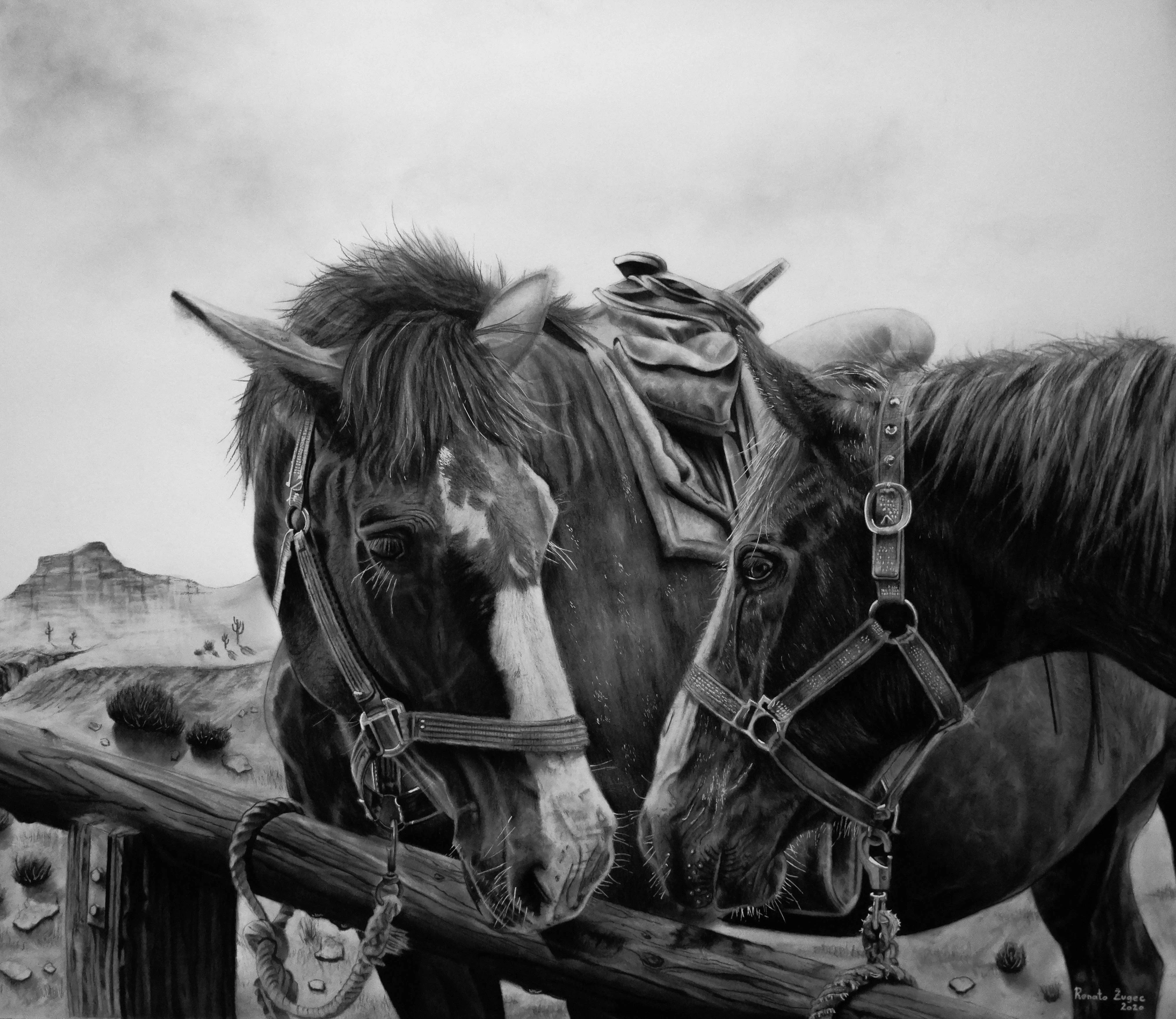 Whispering , CHARCOAL DRAWING, by Renato Žugec, Size - 60x70 cm