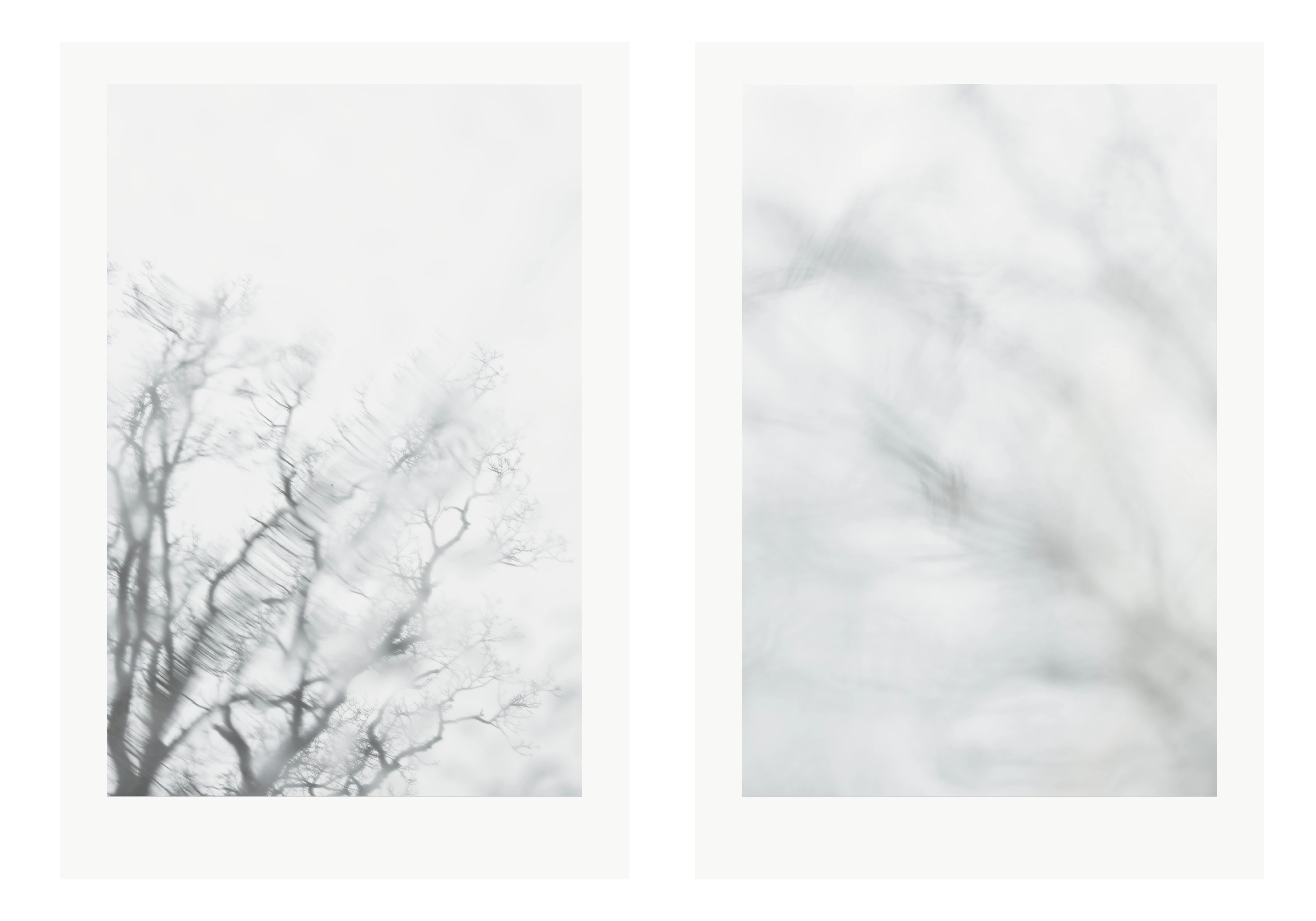 Meditation in Rain  — A Diptych by Hana...