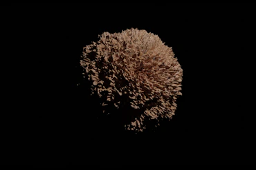 Earthen Material Abstractions