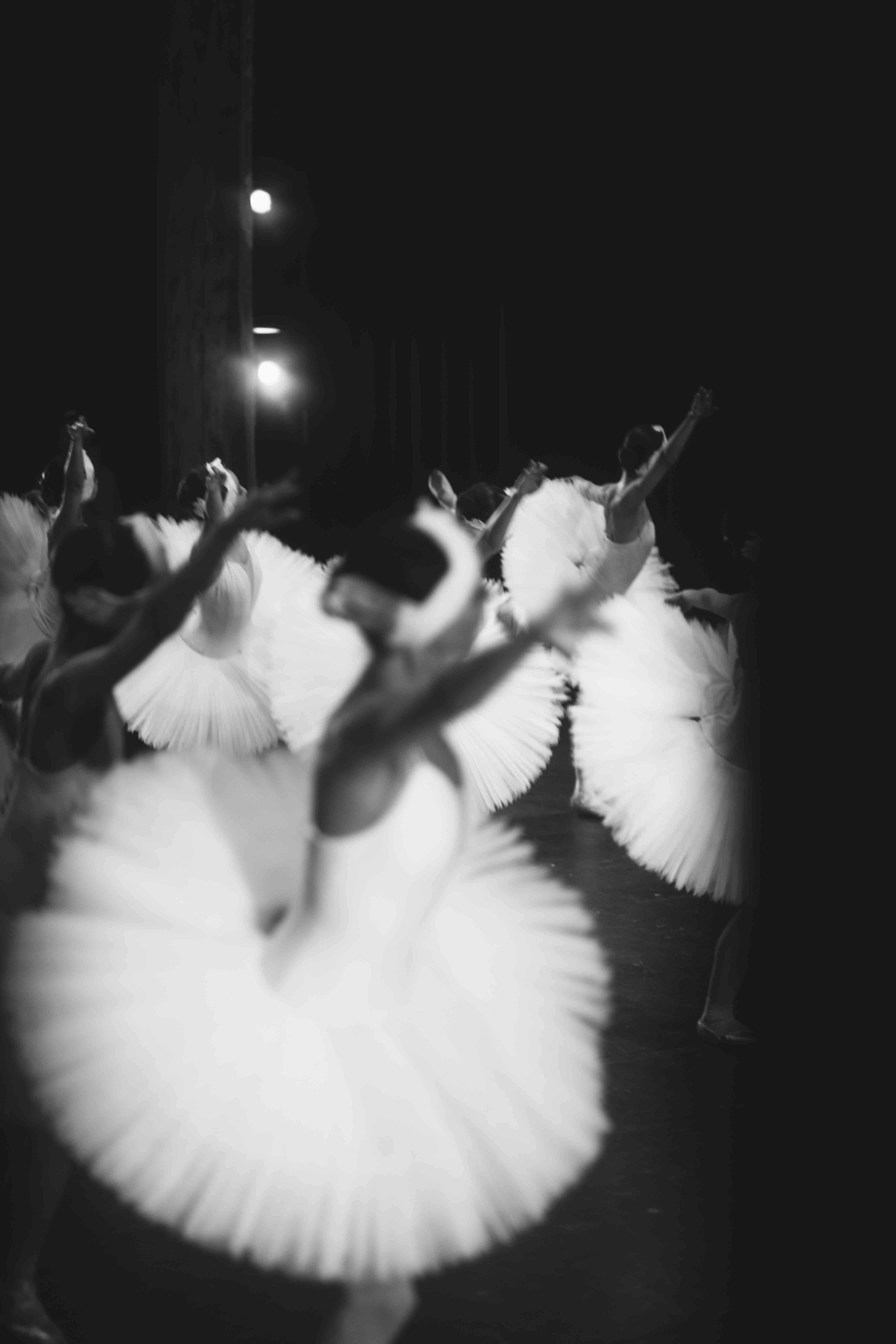 Ballet Swan Lake by Roman Kost...